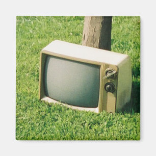 Lifta t.v. magnet