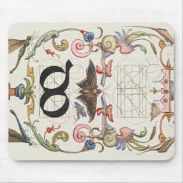 Ligature do from Mira Calligraae Monumenta Musmatta