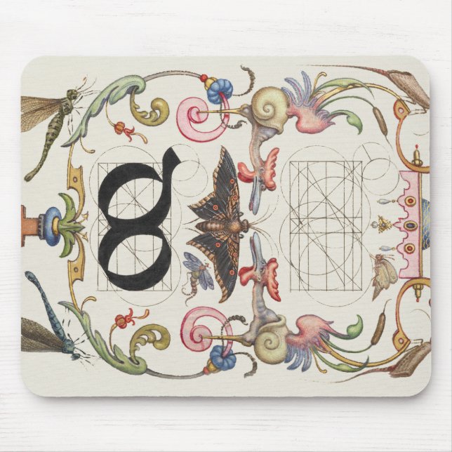 Ligature do from Mira Calligraae Monumenta Musmatta (Framsidan)