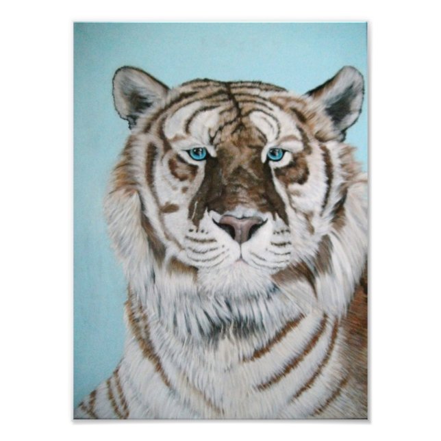 Liger Fototryck (Framsidan)