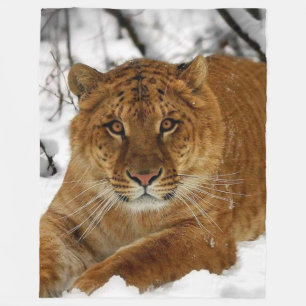 LIGER (LEJONARE & TIGER KOR) FLEECEFILT