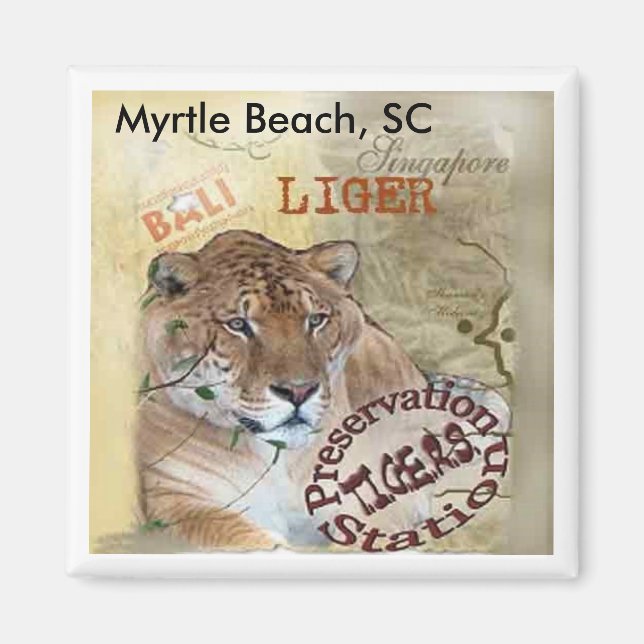 Liger Magnet - Myrtle Beach, SC (Framsidan)