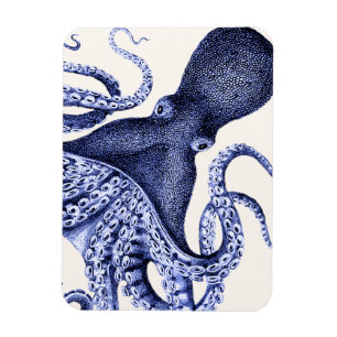 Liggande blå Octopus Magnet