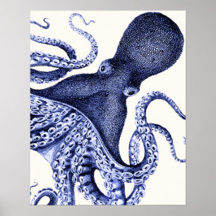Liggande blå Octopus Poster