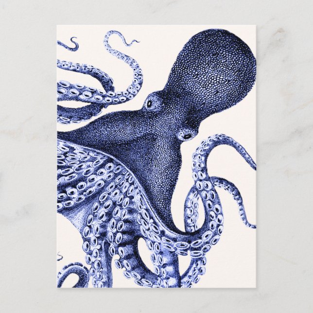 Liggande blå oktopus vykort (Framsida)
