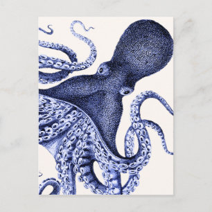 Liggande blå oktopus vykort