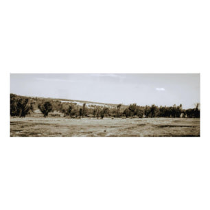 Liggande Extra stort Fototryck