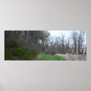 Liggande foto Poster