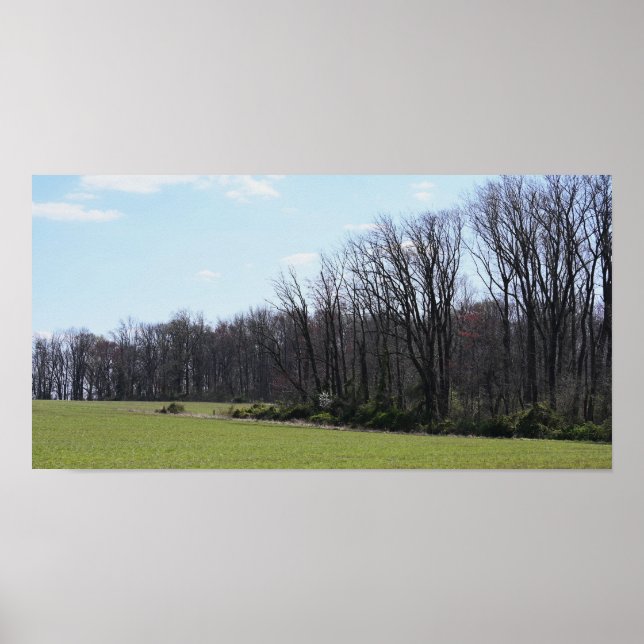 Liggande foto Poster (Framsidan)