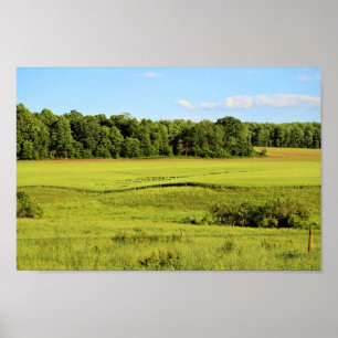Liggande foto poster