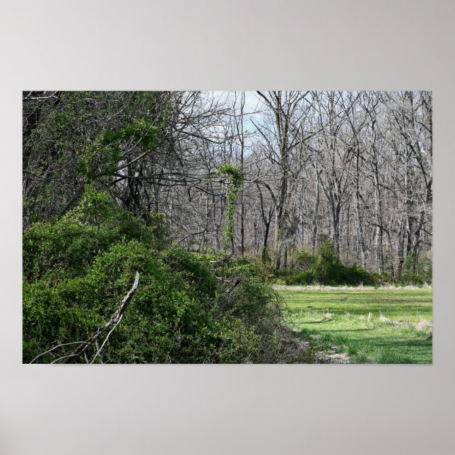 Liggande foto Poster (Framsidan)