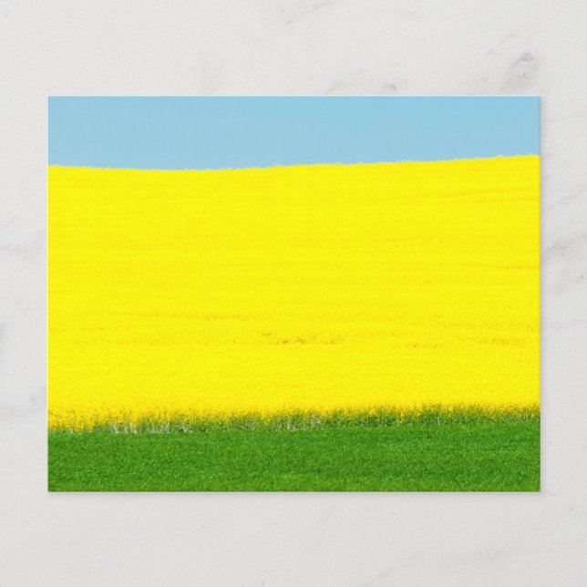 Liggande Meadow Flygblad (Framsidan)