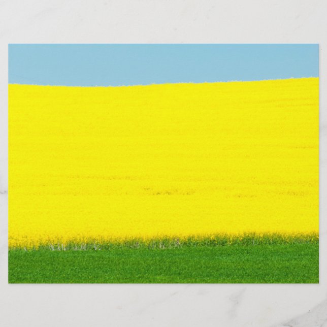 Liggande Meadow Reklamblad (Framsidan)