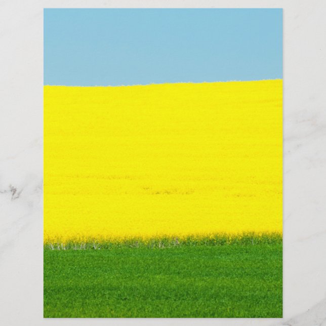 Liggande Meadow Reklamblad (Framsidan)