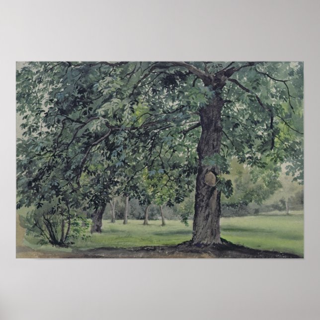 Liggande med Chestnut Träd i förgrunden Poster (Framsidan)