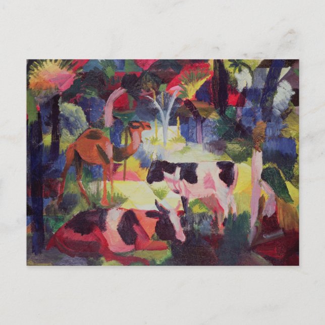 Liggande med Kor och kamera Vykort (Framsida)