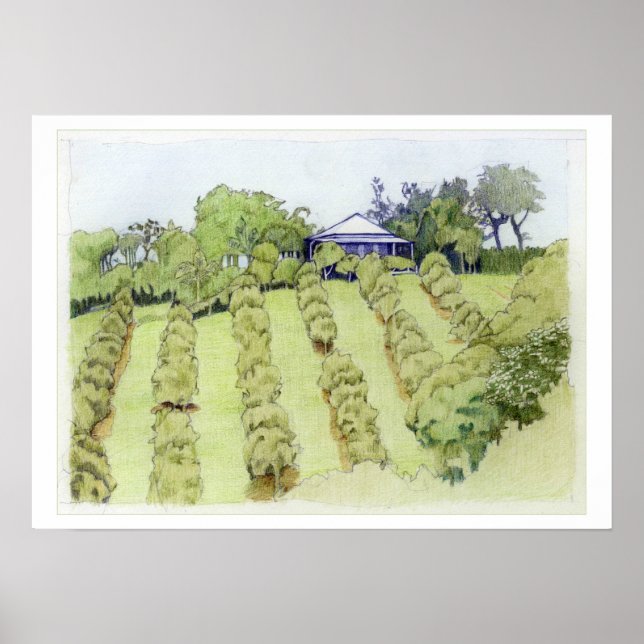 Liggande Poster (Framsidan)