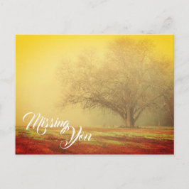 Liggande saknas vykort