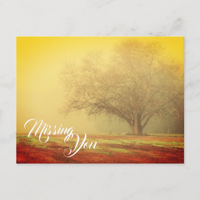 Liggande saknas vykort (Framsida)