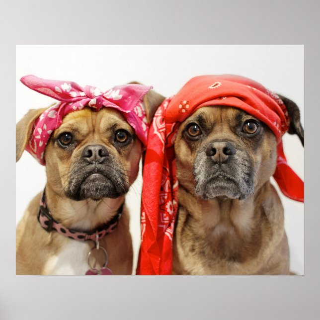 liggare poster (Framsidan)