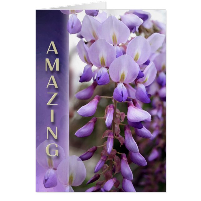 Ligger seger framåt hälsningskort (Framsidan)