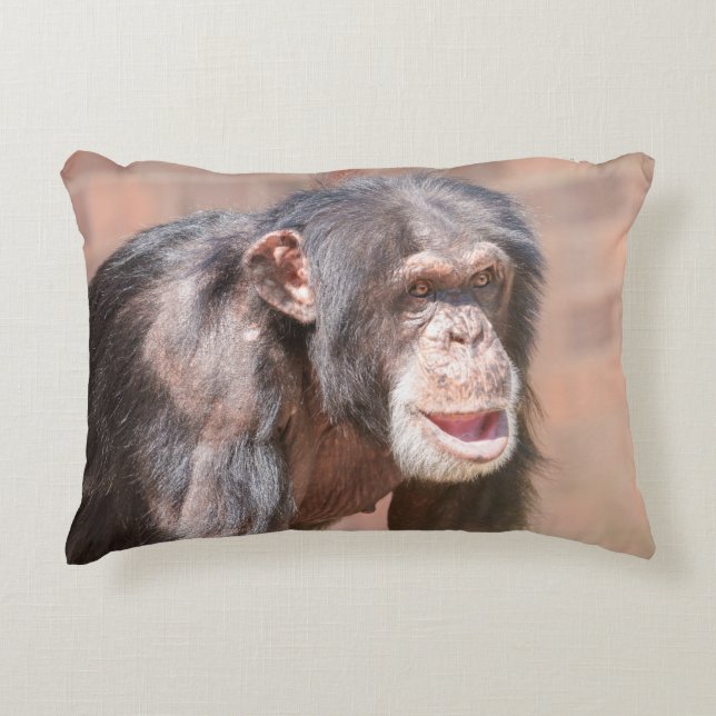 Light and Stillness - Chimpanzee Stance Prydnadskudde (Framsidan)