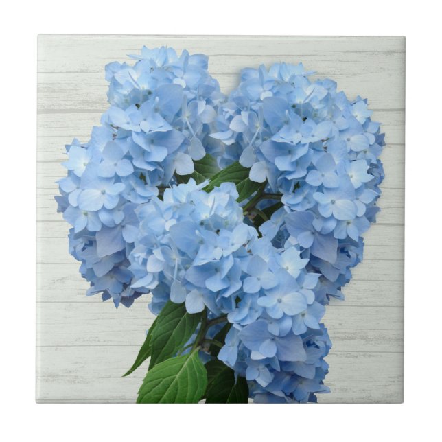 Light Blue Hydrangea Flowers Kakelplatta (Framsidan)