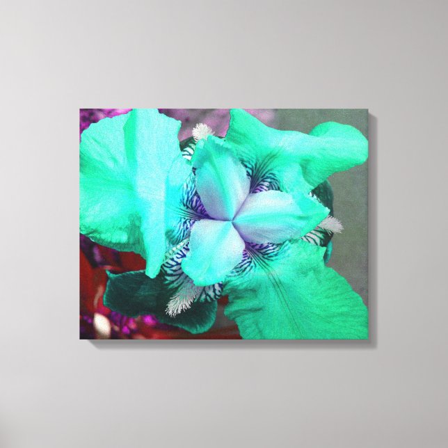 Light Blue Iris Canvas (Framsida)