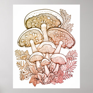 Light Brown Mushrooms on White Background on Wall Poster