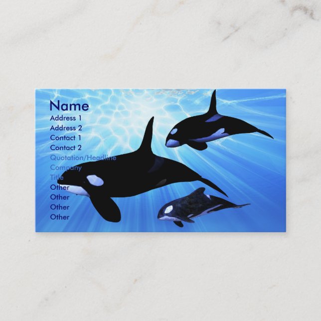 LIGHT ECHO-AFFÄRSKORTET VISITKORT (Framsida)