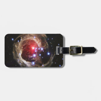 Light Echo Luggage Tag Bagagebricka
