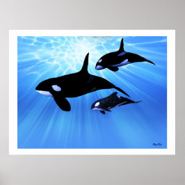 LIGHT ECHO-UTSKRIFT POSTER