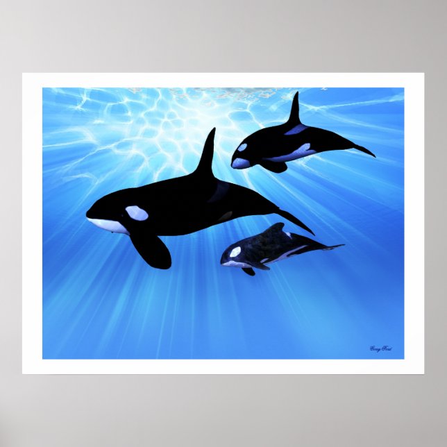 LIGHT ECHO-UTSKRIFT POSTER (Framsidan)