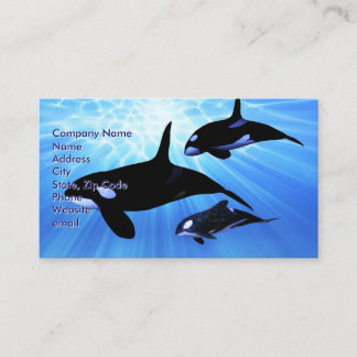 Light Echo Visitkort