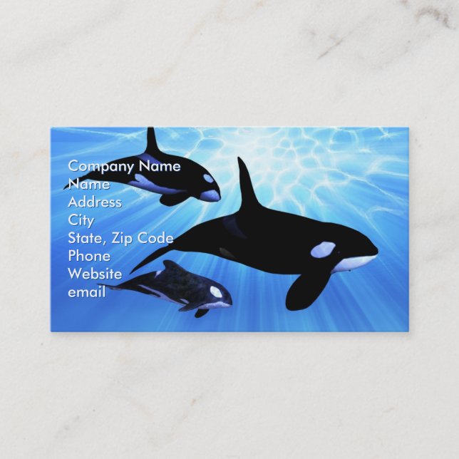 Light Echo Visitkort (Framsida)