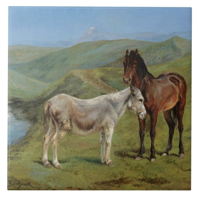 Light Grått Horse in a Fält (hästdjur) Kakelplatta (Framsidan)