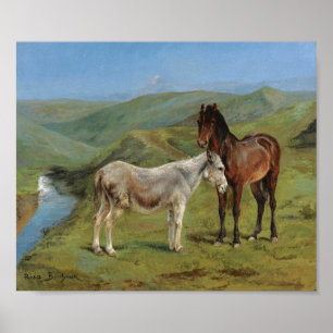 Light Grått Horse in a Fält (hästdjur) Poster