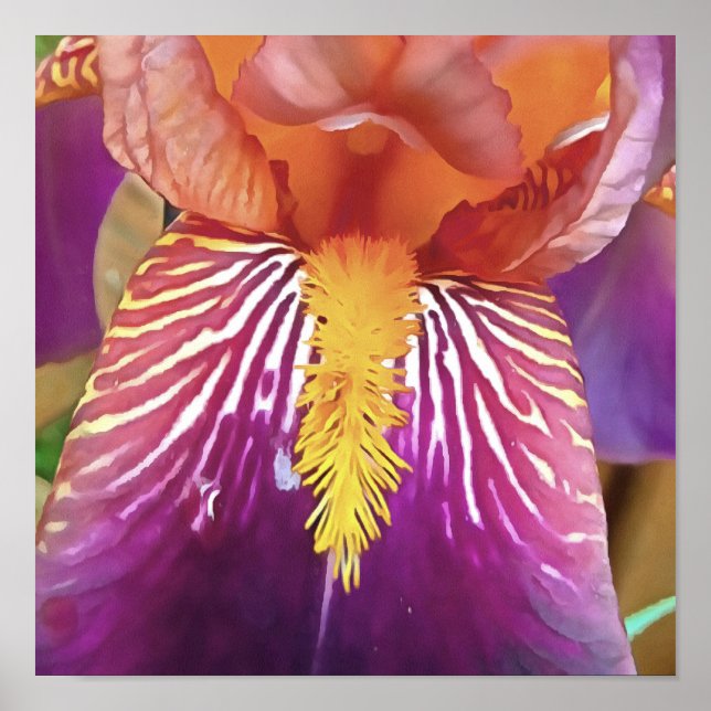 Light Iris Macro Artistic Abstrakt Poster (Framsidan)