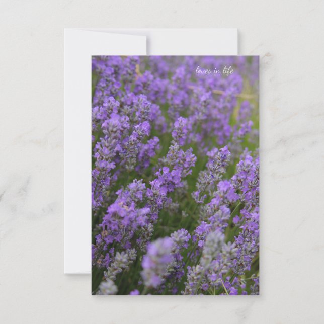 Light Lavender Plants Anteckningskort (Framsida)