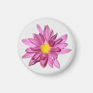 Light Lila Gerbera Magnet