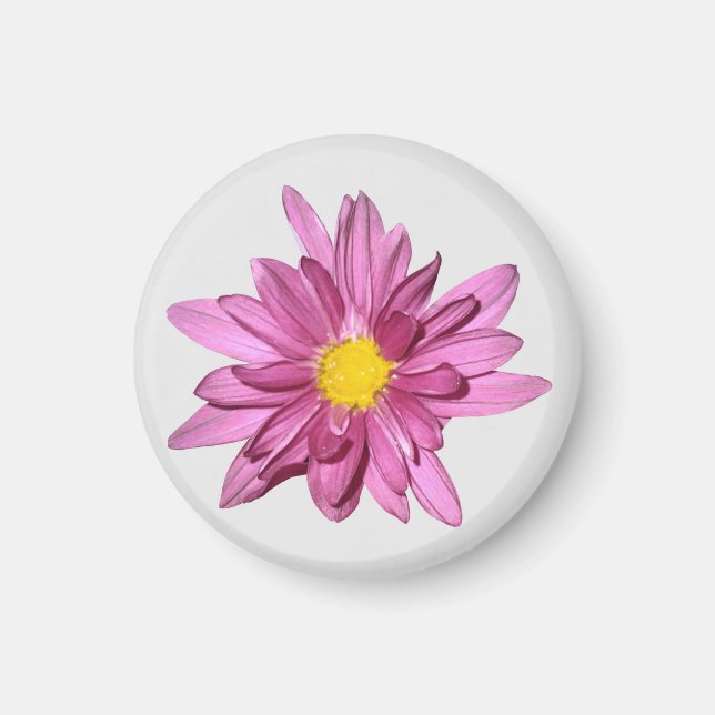 Light Lila Gerbera Magnet (Framsidan)