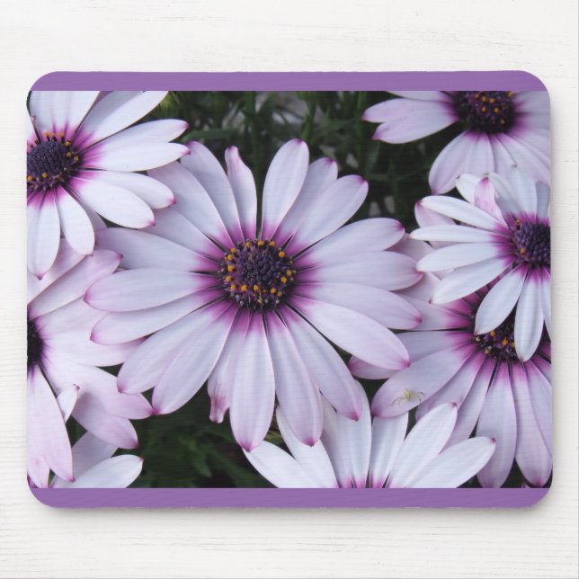 Light Lila Petals med Lila Background Musmatta (Framsidan)