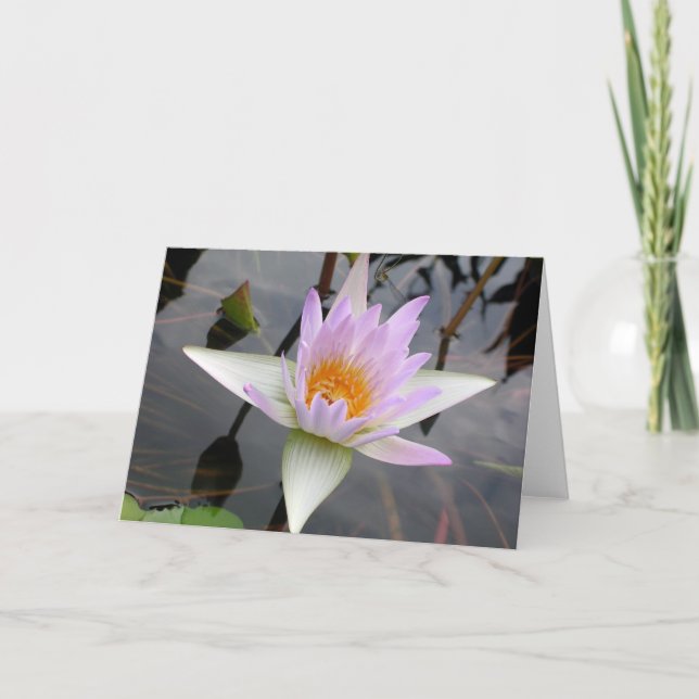 Light Lila Vatten Lily Card Kort (Framsida)