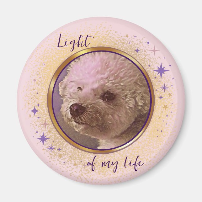 Light of My Life Magnet (Framsidan)