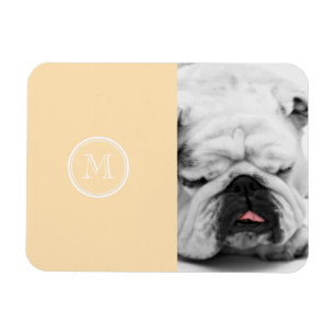 Light Peach High End-Färgad Magnet