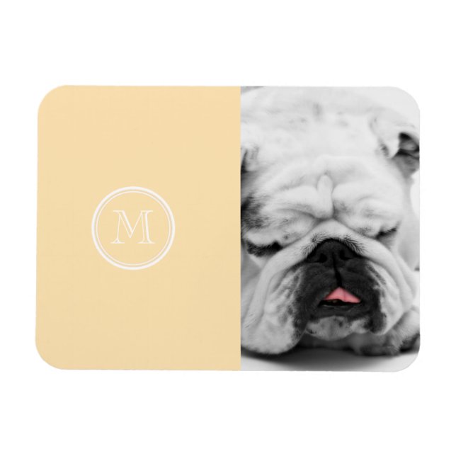 Light Peach High End-Färgad Magnet (Horisontell)