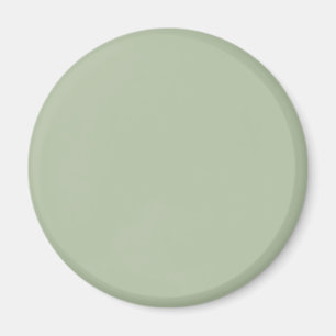 Light Sage Grönt Solid Färg Magnet