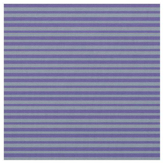 Light Slate Grått och Mörk Slate Blue Rand Tyg (Närbild)