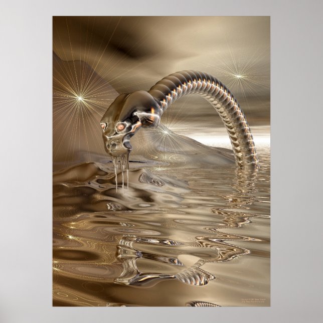 Lightcatcher Poster (Framsidan)