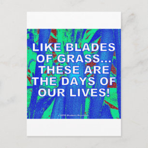 LIKSOM BLAD AV GRÄS VYKORT